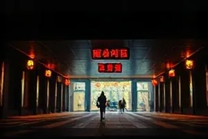 《蝉鸣之前》封面：夏日树影与停在护栏上的蝉壳